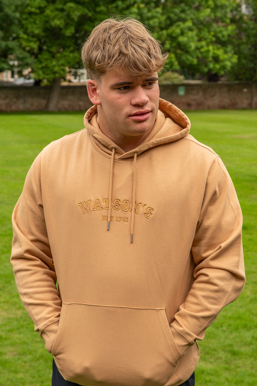 Hoodies